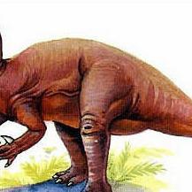 《心动小镇矿石速成攻略》