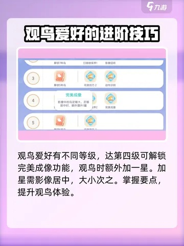 《心动小镇观鸟攻略：揭秘高效拍鸟技巧》