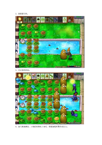 《植物大战僵尸》8炮流攻略:解锁1024关生存挑战秘籍大揭秘 《植物大战僵尸》8炮流攻略:解锁1024关生存挑战秘籍大揭秘