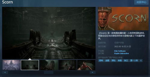 《寂静岭f》豪华版独家福利！揭秘预购特典领取攻略，速来获取！