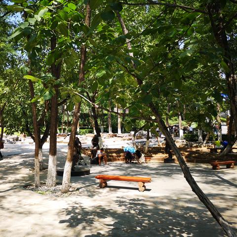 《森林之子》武器装备速成攻略:高效收集秘籍大揭秘 《森林之子》武器装备速成攻略:高效收集秘籍大揭秘