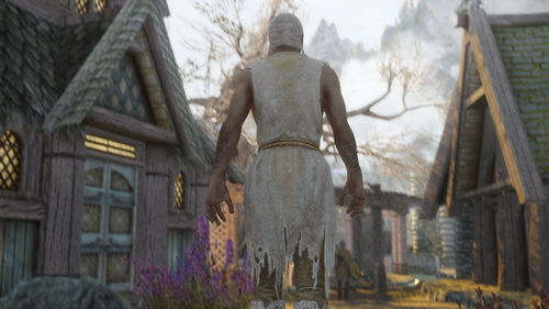 《上古卷轴5》美景Mod惊艳图赏：超真实视觉盛宴