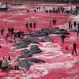 《死亡搁浅2》支线任务123攻略：隐藏宝藏解锁秘籍