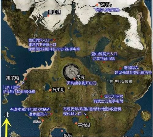 《森林之子地图攻略:隐藏点位深度揭秘》 《森林之子地图攻略:隐藏点位深度揭秘》