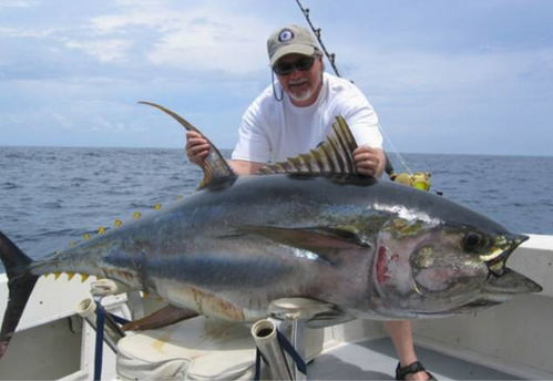 《剑星》钓鱼全攻略:一网打尽珍稀鱼类视频教程 《剑星》钓鱼全攻略:一网打尽珍稀鱼类视频教程