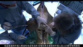 《辐射》原汁原味续作,无重置移植,经典再现! 《辐射》原汁原味续作,无重置移植,经典再现!