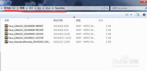 星痕共鸣捏脸数据导入2025攻略：快速定位导入位置