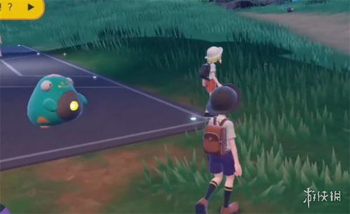 《宝可梦朱紫》双打强队阵容攻略：独家搭配秘籍！
