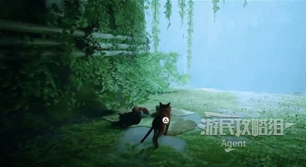 《流浪》游戏深度解析：沉浸式冒险体验，探索未知世界乐趣多