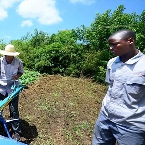 《农场17攻略大全：系统解析+实用技巧》