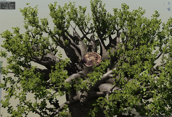 《巫师3》植被建模升级:SpeedTree打造极致生态世界 《巫师3》植被建模升级:SpeedTree打造极致生态世界