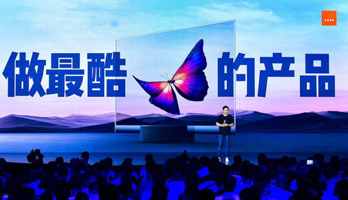 雷军回武赠百万奖学金,每人10万!啥人才培养新举措? 雷军回武赠百万奖学金,每人10万!啥人才培养新举措?