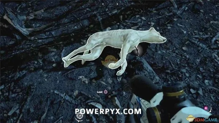 《野狗子》战斗技巧揭秘:轻松上手,战力飙升! 《野狗子》战斗技巧揭秘:轻松上手,战力飙升!