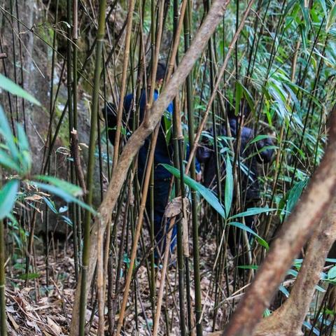 《羊蹄山之魂》全球同步解锁，10月2日开启探险之旅！