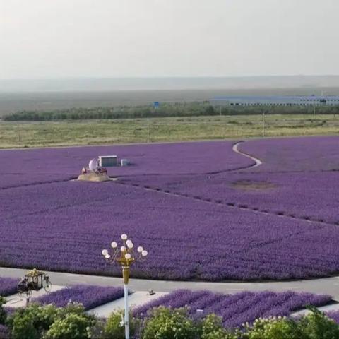 《红色沙漠》发售大延期！2026年春季震撼来袭，独家前瞻！