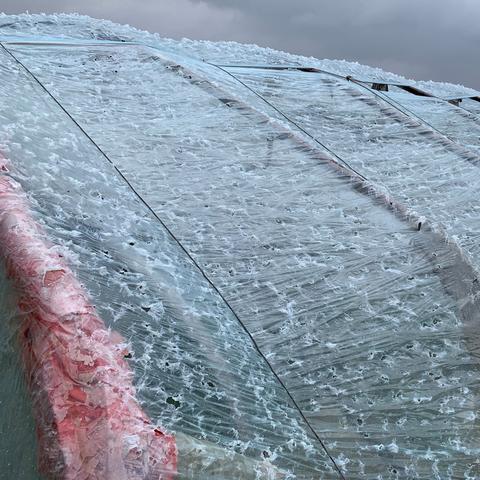 立夏节气狂欢!《第五人格》绿荫映日长活动精彩回顾,解锁独特体验 立夏节气狂欢!《第五人格》绿荫映日长活动精彩回顾,解锁独特体验