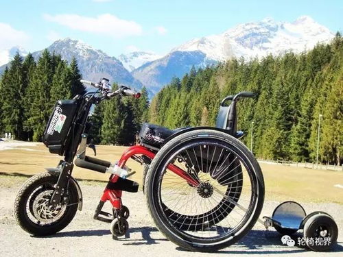 羊蹄山群杀轮椅流攻略：揭秘高效构筑新秘籍