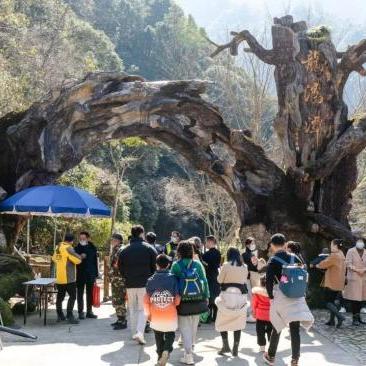 《上古卷轴4》重制版热力全开，400万玩家在线巅峰，20万峰值见证传奇！