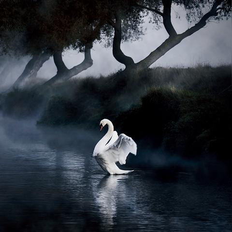 《破晓传说》全攻略揭秘：独占宝箱与猫头鹰藏匿图，深度解析！