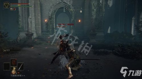 《艾尔登法环追踪者大乘富贵流攻略》