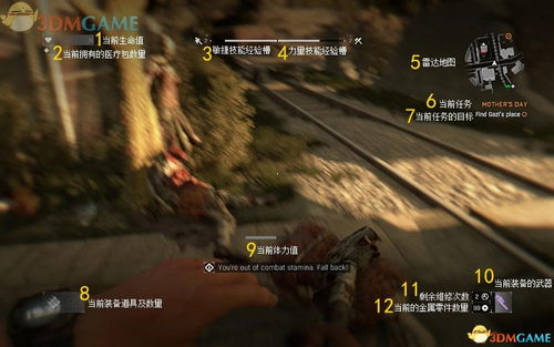 《消逝光芒》安全屋攻略：一网打尽隐藏位置，新手必看！