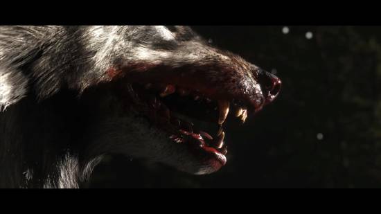 《对马岛之魂》续作《羊蹄山之魂》2025震撼来袭，探索新世界！