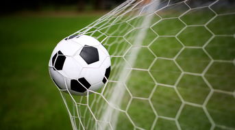 《足球经理25》11月底全新升级，经典功能优化移除，体验全新足球盛宴