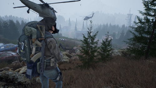 《ENDLESS DAYS Z》生存挑战,解锁末日求生新境界 《ENDLESS DAYS Z》生存挑战,解锁末日求生新境界