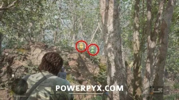 《合金装备3重制版》全科罗蛙高效收集指南,解锁隐藏蛙点攻略! 《合金装备3重制版》全科罗蛙高效收集指南,解锁隐藏蛙点攻略!