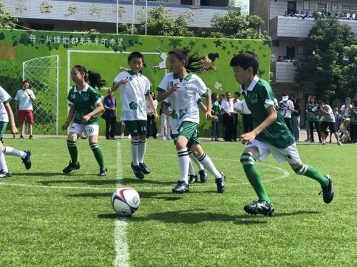 《梦想足球24》16日发售!独家揭秘:快节奏足球新体验 《梦想足球24》16日发售!独家揭秘:快节奏足球新体验