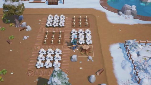 《珊瑚岛》全新正式版11/14上线,休闲模拟体验升级! 《珊瑚岛》全新正式版11/14上线,休闲模拟体验升级!