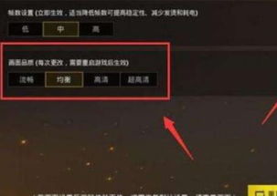 绝地求生组排语音设置，高效找人技巧大揭秘！