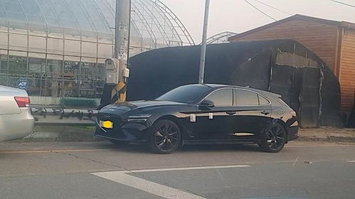 微软神秘大作揭晓！今年还有2款3A巨制待曝光