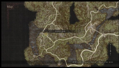 《龙之信条2》斗士大师技能揭秘：解锁斗士之路攻略！