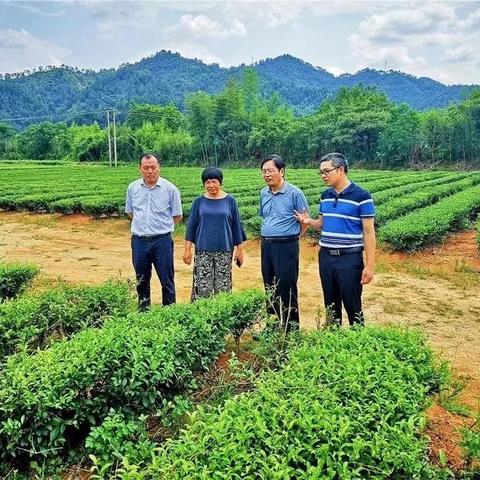 《上古卷轴》&《辐射》系列：B社掌门人倾心之作揭秘