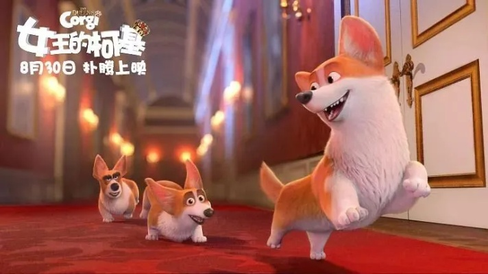 《我的小柯基》11月7日首曝!柯基冒险之旅,探寻冥界重逢秘境 《我的小柯基》11月7日首曝!柯基冒险之旅,探寻冥界重逢秘境