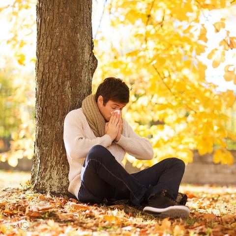 《虚实万象》小萝莉惊喜回归，独家道歉活动即将开启！