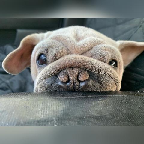 《星球大战》绝地幸存者实机大揭秘，独家首发体验震撼来袭