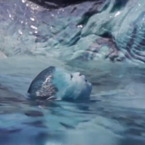 《阿凡达》季票上线！潘多拉边境合作新体验等你来战