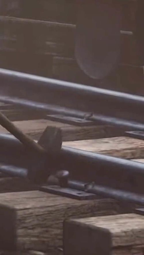 《荒野大镖客2》铁路工人现场施工,独家揭秘真实修轨过程 《荒野大镖客2》铁路工人现场施工,独家揭秘真实修轨过程