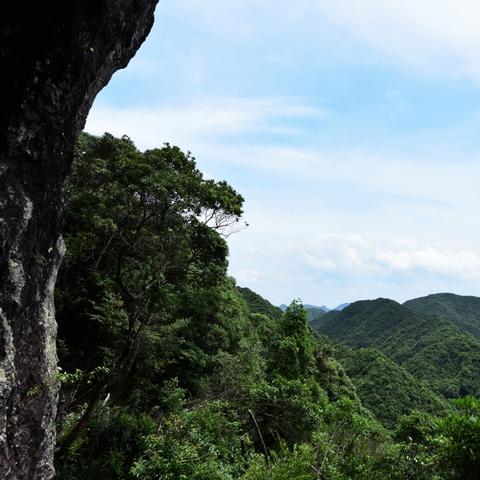 《明末渊虚之羽》云顶城商人必看攻略:揭秘神秘商人藏身之地! 《明末渊虚之羽》云顶城商人必看攻略:揭秘神秘商人藏身之地!