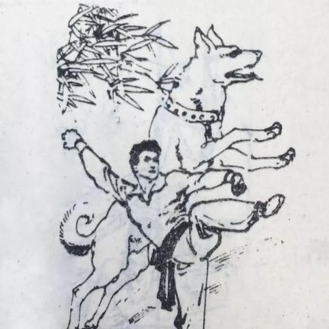 《明末渊虚之羽》揭秘:敏捷属性如何助你战力飙升? 《明末渊虚之羽》揭秘:敏捷属性如何助你战力飙升?