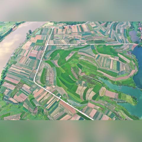 《花园生活》新升级！《无人机群》工作室打造沉浸式田园生活体验