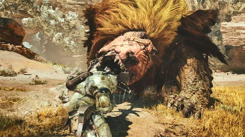 千刃龙重弩荒野狩猎攻略：最强配装技巧揭秘