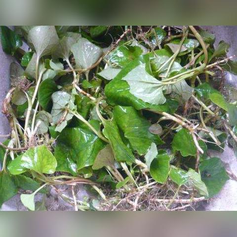 《解限机》机体强度排行攻略：高效升级优先级解析，助你战力飙升！