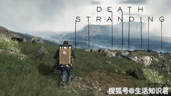 《死亡搁浅2》攻略：揭秘高效安全屋建造技巧，打造完美避难所