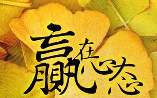 《多重人生》探图攻略揭秘：高效探图技巧助你畅游人生之旅