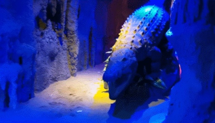 熔岩洞探险,巨蛙挑战开启,勇者速来挑战新高度! 熔岩洞探险,巨蛙挑战开启,勇者速来挑战新高度!