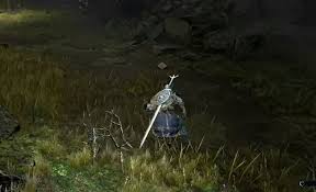 《艾尔登法环》黑夜王攻略:揭秘弱点,轻松君临之夜 《艾尔登法环》黑夜王攻略:揭秘弱点,轻松君临之夜