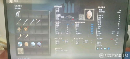 艾尔登法环速刷攻略揭秘：隐城高效刷改技巧，快速通关攻略分享